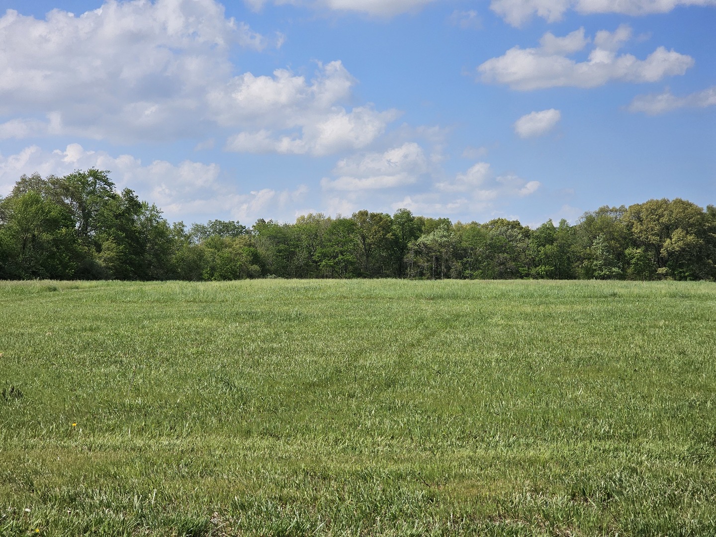 17225 North Akin Black Top Road N Benton IL 62812