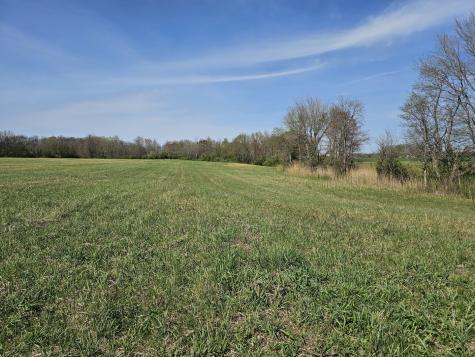 17225 North Akin Black Top Road N Benton IL 62812
