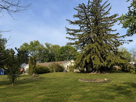 1028 South Walnut Avenue Arlington Heights IL 60005