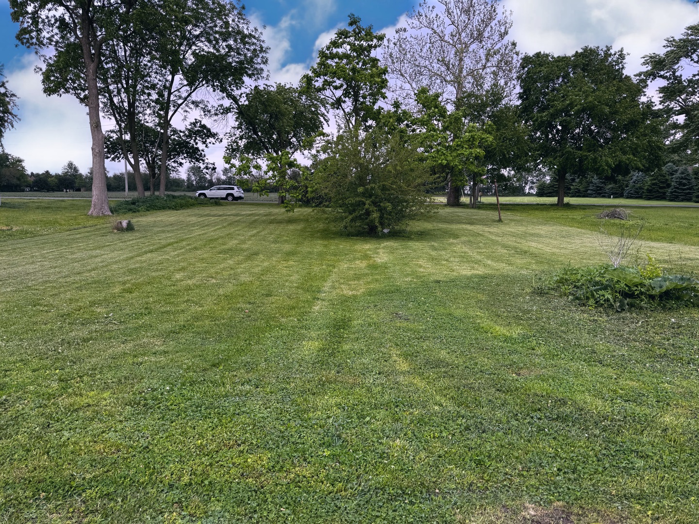 Lot 13 S Locust Street Wenona IL 61377