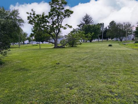 Lot 13 S Locust Street Wenona IL 61377