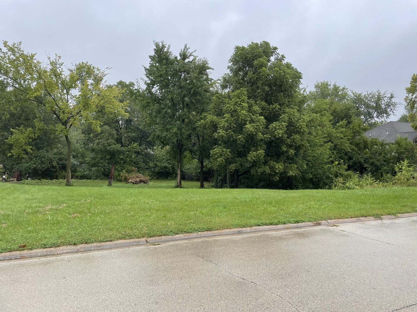 109 Creekside Drive Elwood IL 60421