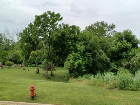109 Creekside Drive Elwood IL 60421