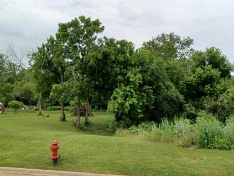 109 Creekside Drive Elwood IL 60421