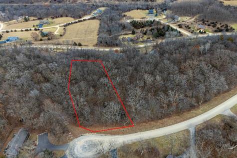 45 Lookout Trace Galena IL 61036