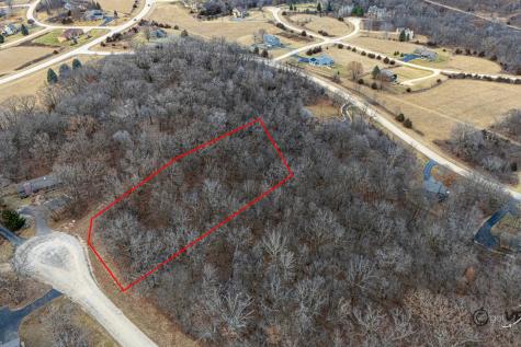 45 Lookout Trace Galena IL 61036