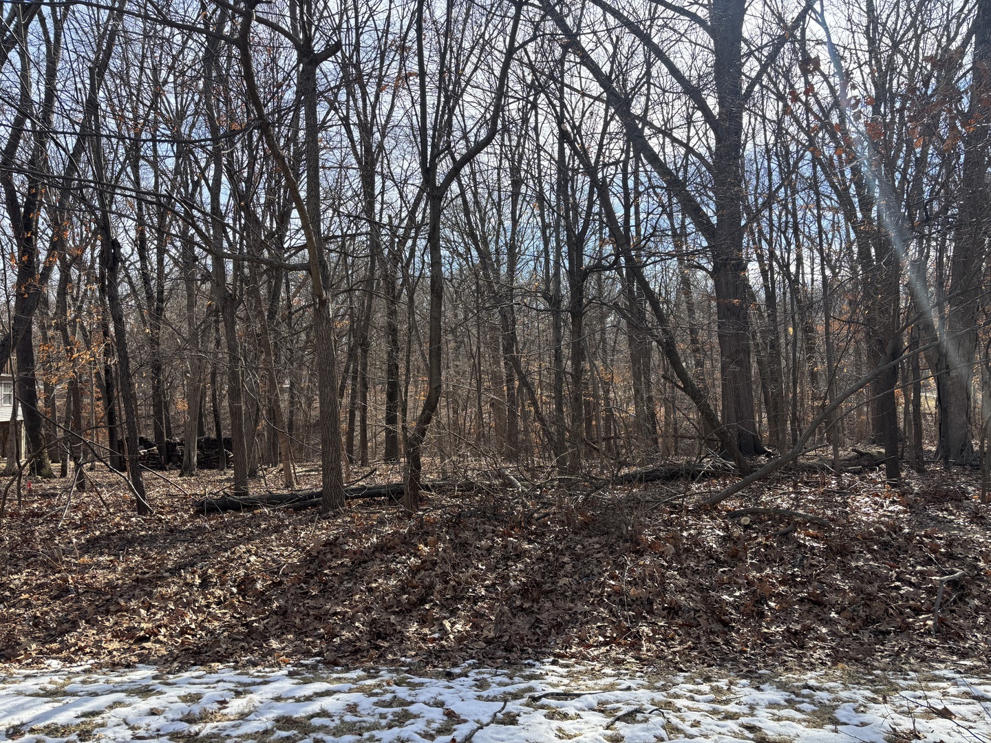 374 Bonnie Court Varna IL 61375