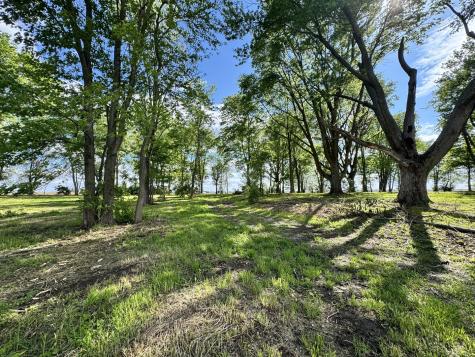 1971 County Road 1200 N Sidney IL 61877