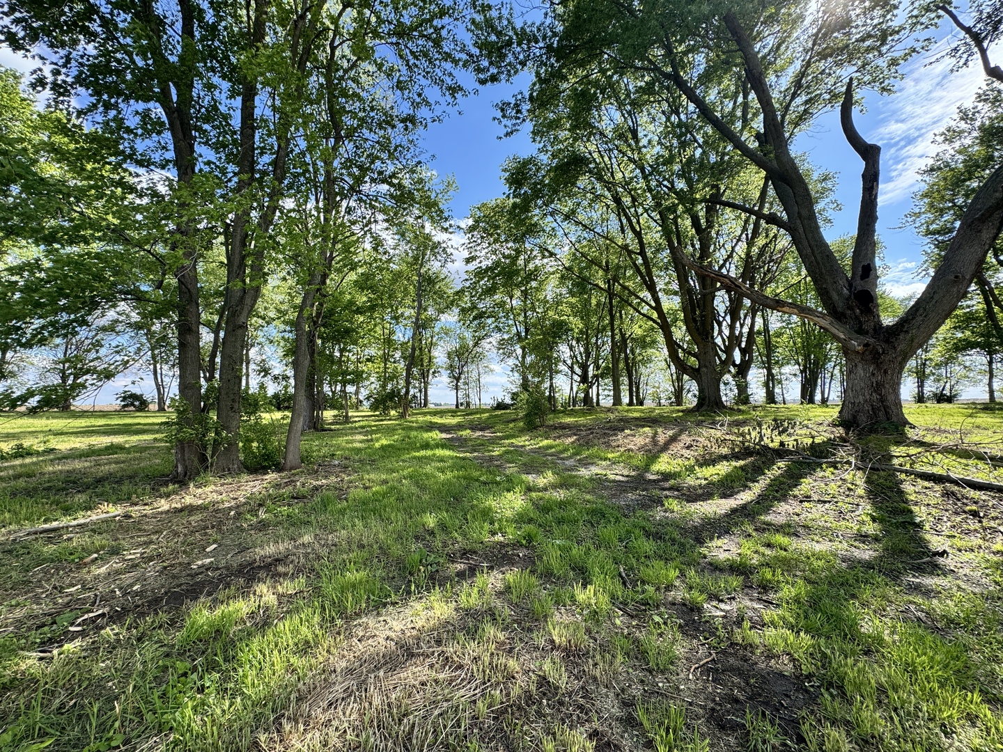 1971 County Road 1200 N Sidney IL 61877