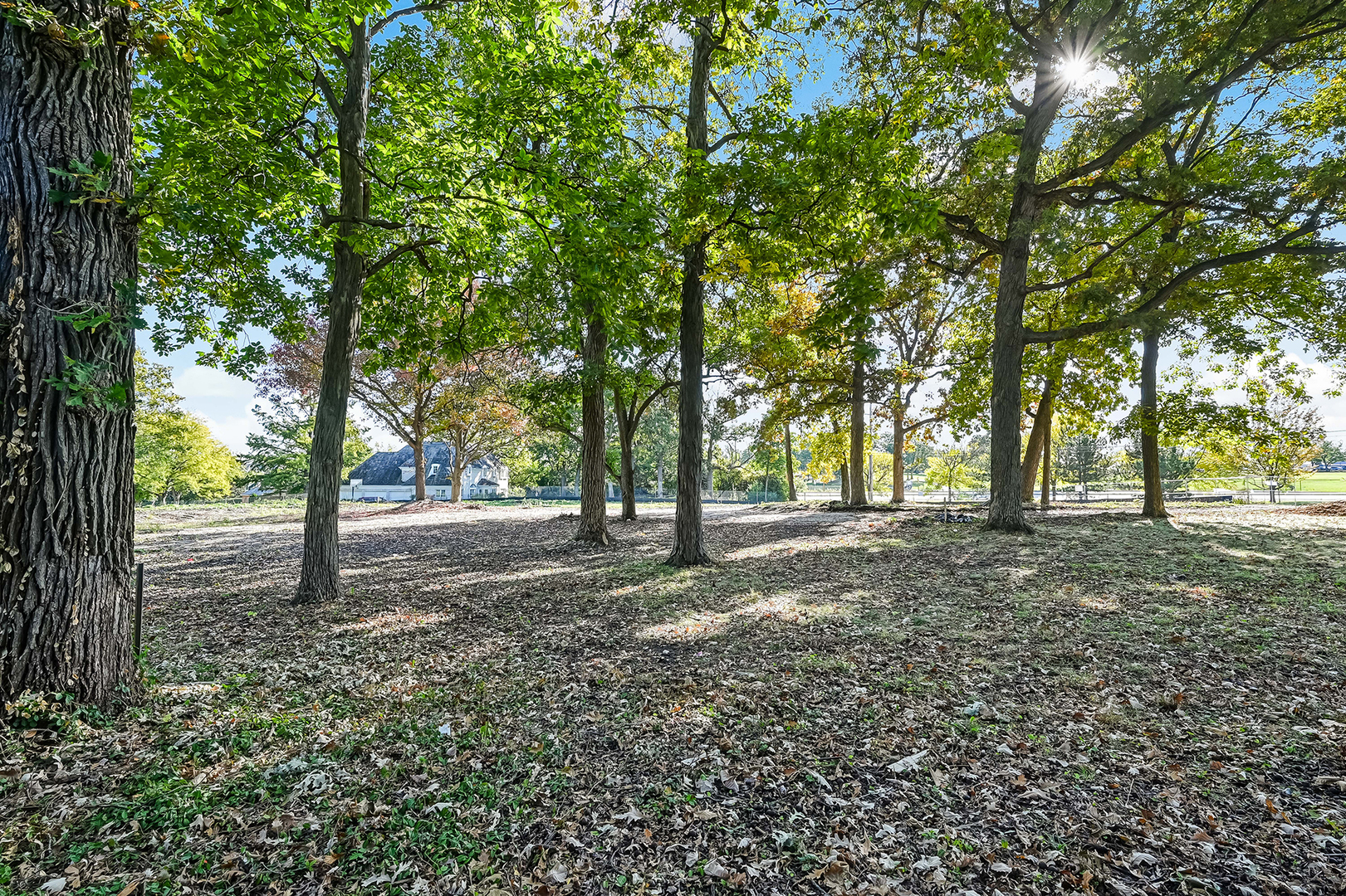 1753 Midwest Club Parkway Oak Brook IL 60523