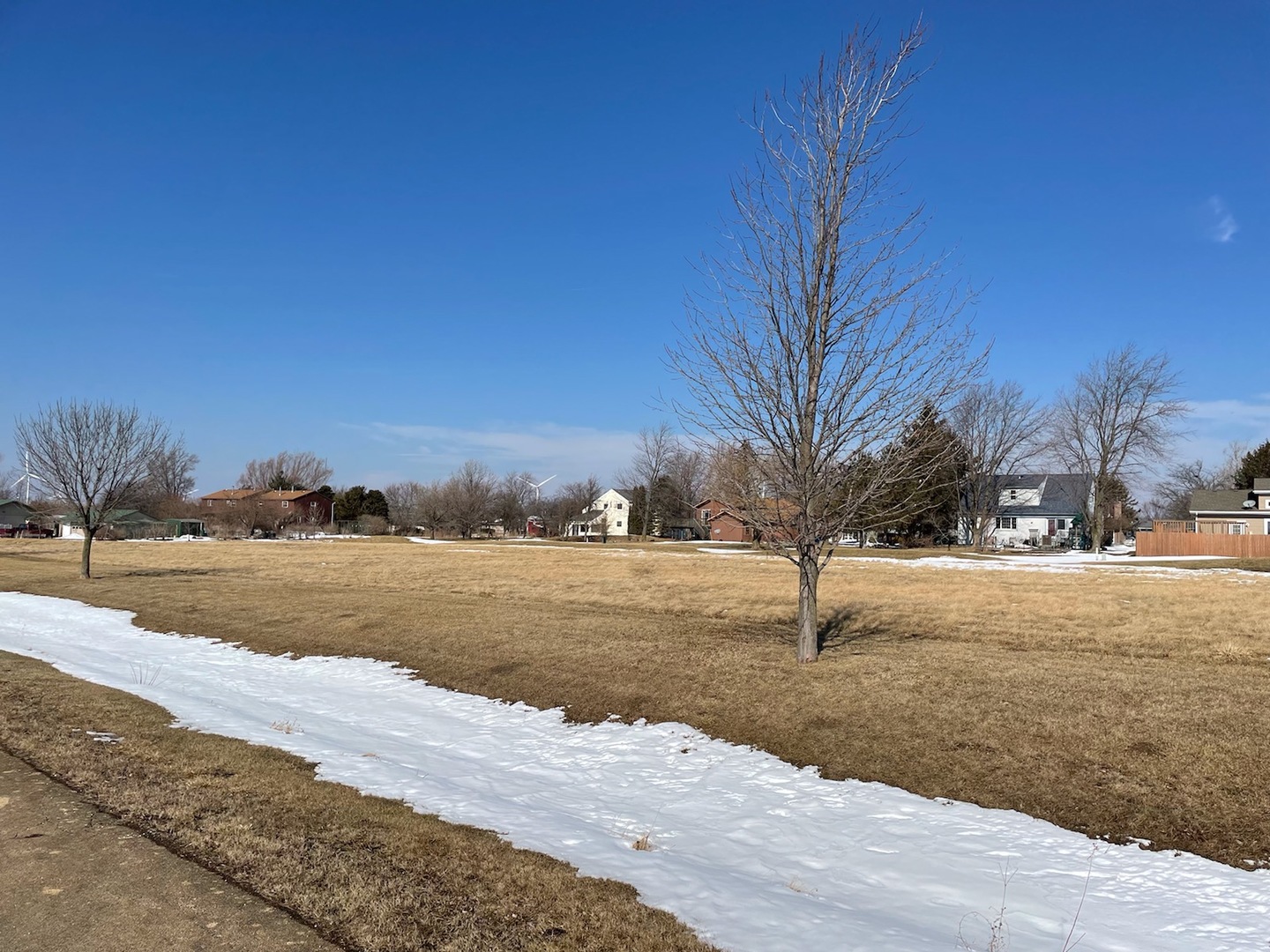 160 Prairie Turn Cabery IL 60919