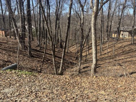 1673 Lakeside Court Varna IL 61375