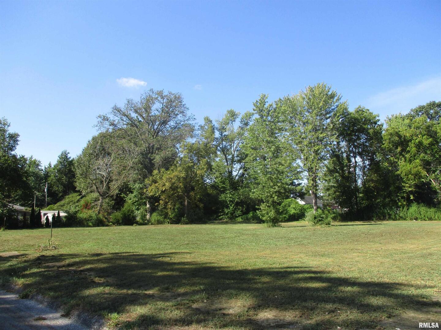 0000 Buchanan Street Benton IL 62812