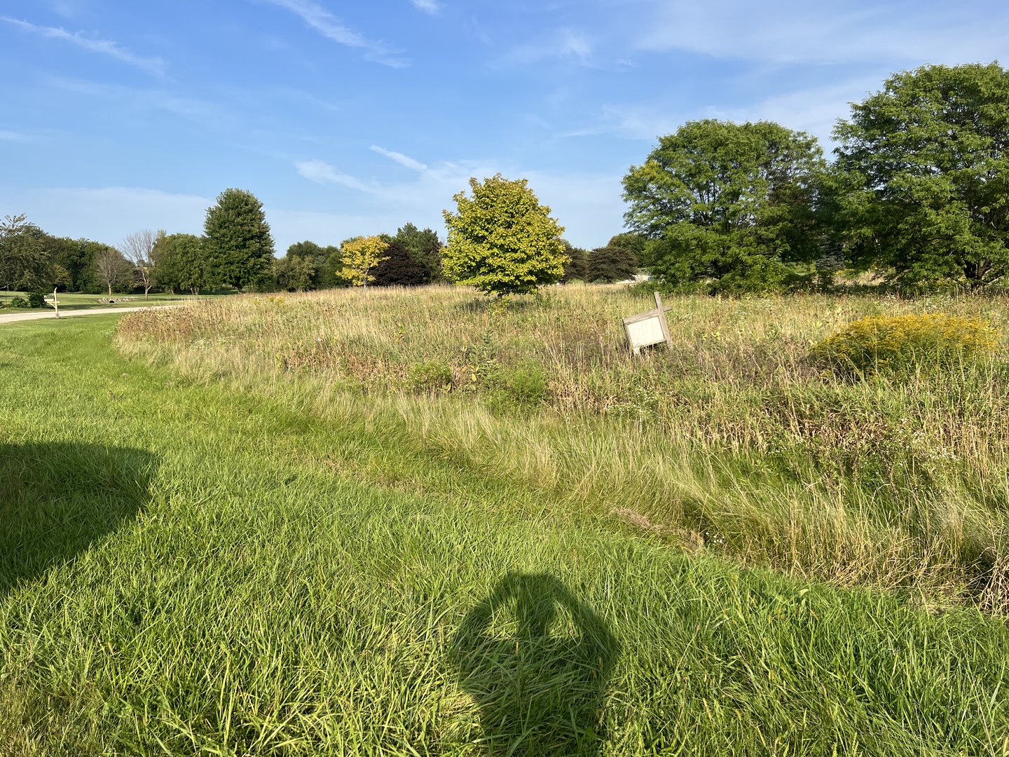 Lot 33 Burlington Hills Shepard And Hillview Lane Hampshire IL 60140
