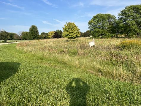 Lot 33 Burlington Hills Shepard And Hillview Lane Hampshire IL 60140