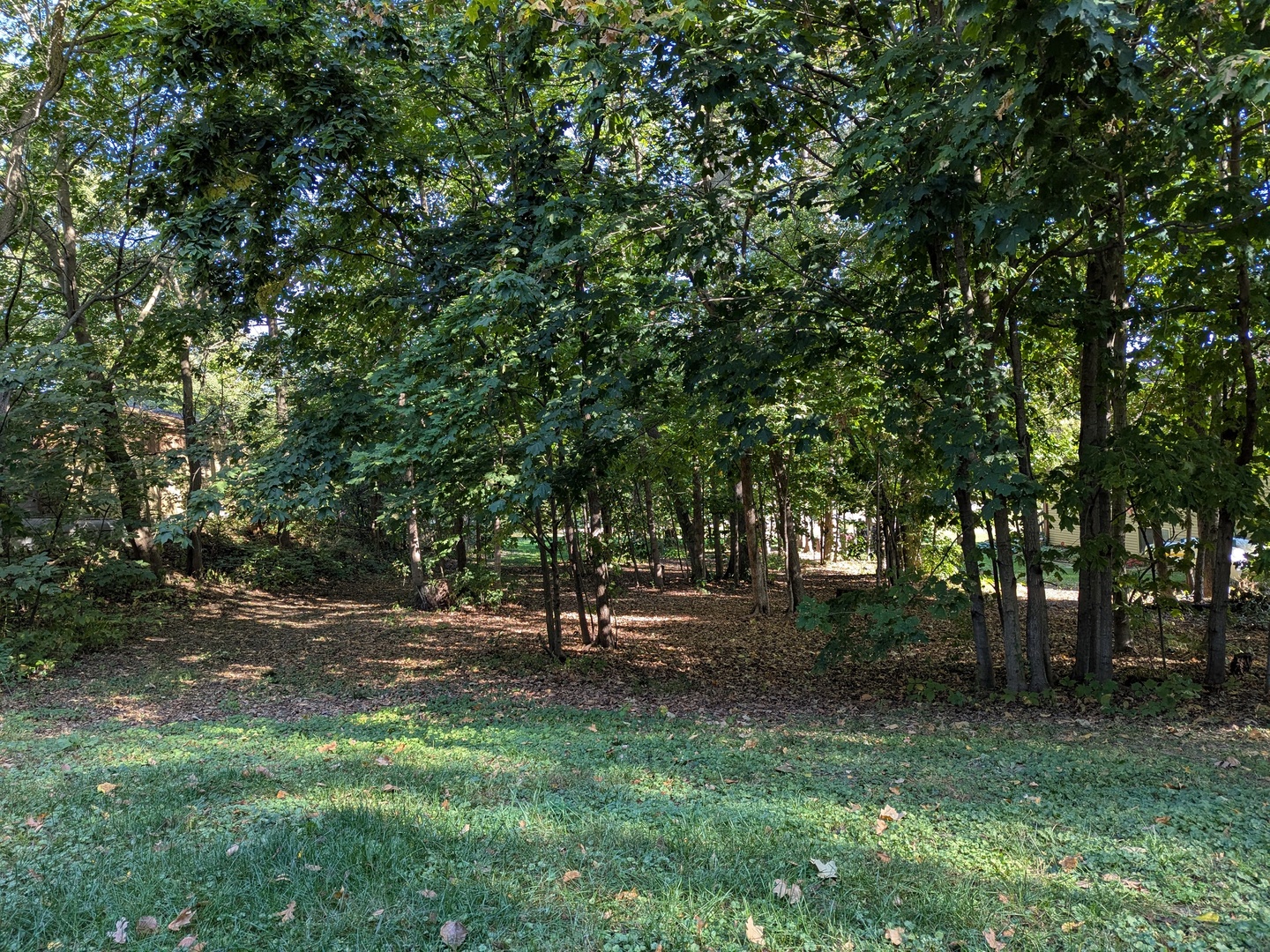 2185 Gainsboro Avenue Davis IL 61019