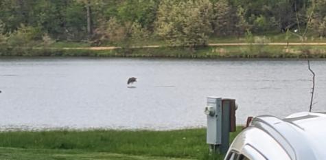 23-93 Woodhaven Lakes Sublette IL 61367