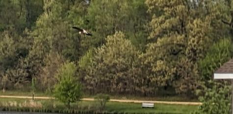 23-93 Woodhaven Lakes Sublette IL 61367