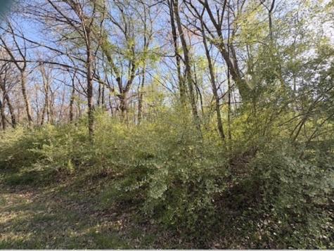 26 Catalina Drive Putnam IL 61560