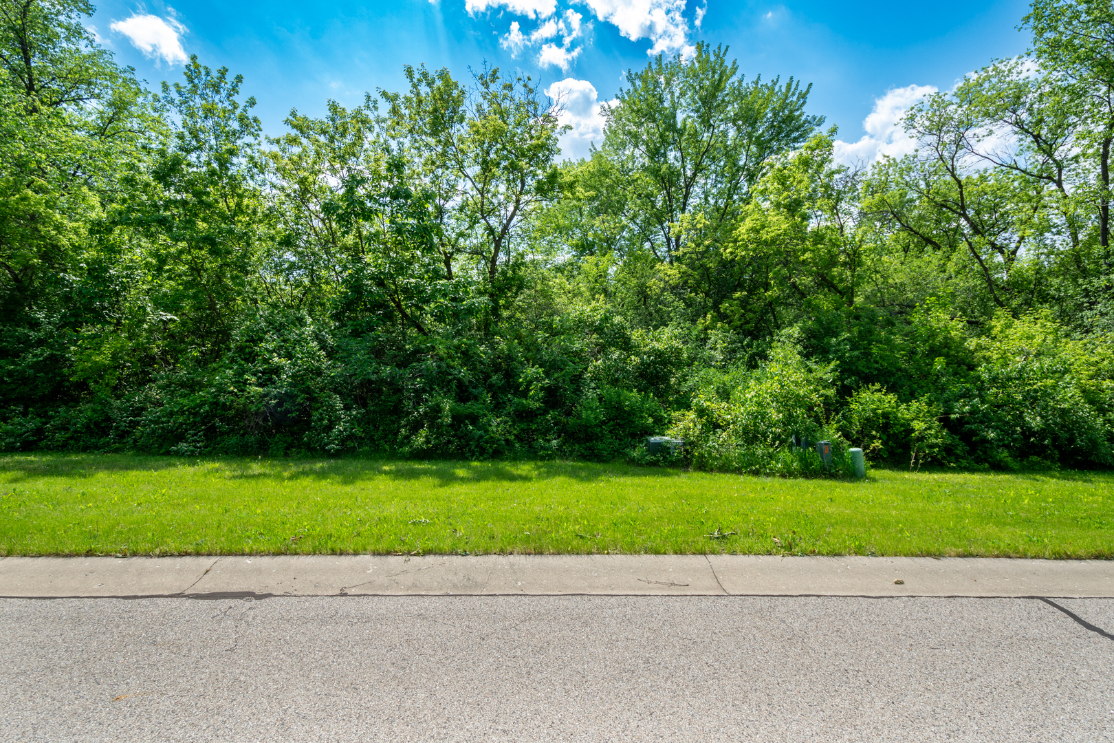 7381 English Oak Lane Spring Grove IL 60081