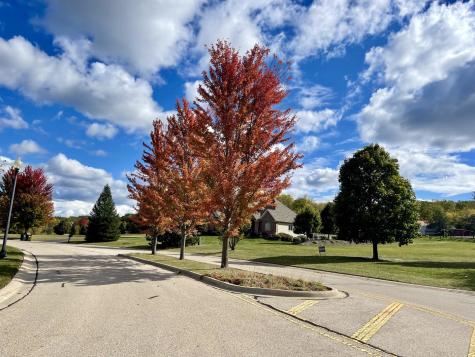 7381 English Oak Lane Spring Grove IL 60081