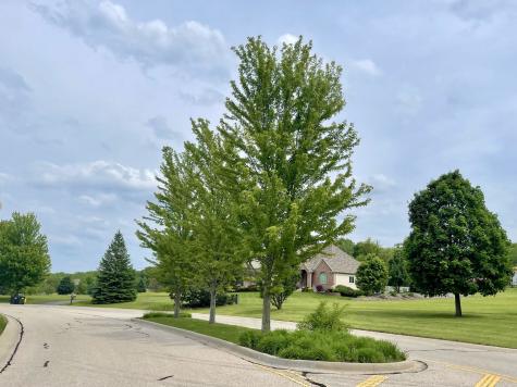 7381 English Oak Lane Spring Grove IL 60081