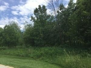 LOT 4 Williams Circle Genoa IL 60135