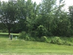 LOT 4 Williams Circle Genoa IL 60135