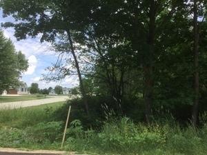 LOT 4 Williams Circle Genoa IL 60135