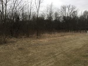 LOT 4 Williams Circle Genoa IL 60135