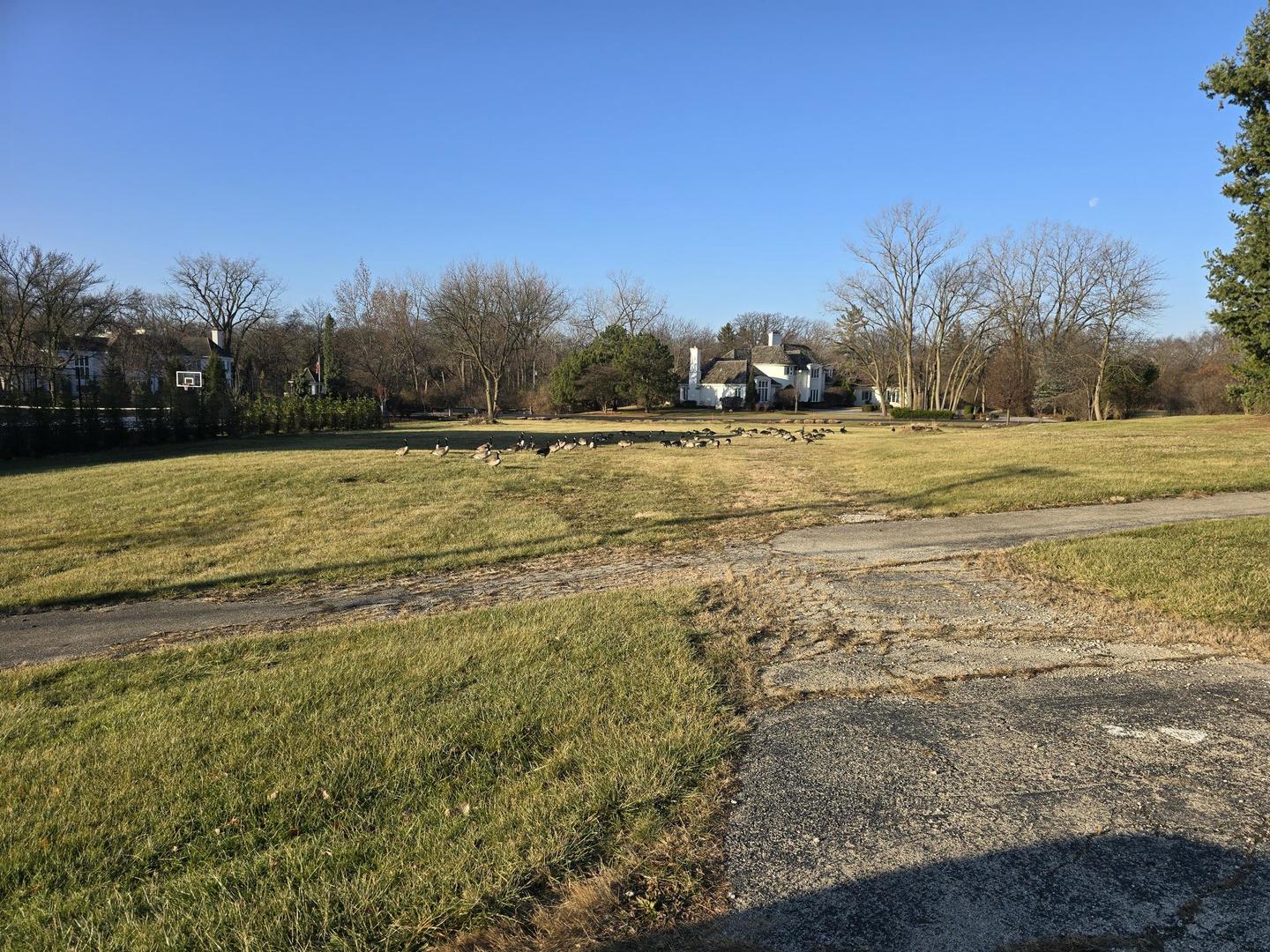3504 York Road Oak Brook IL 60523
