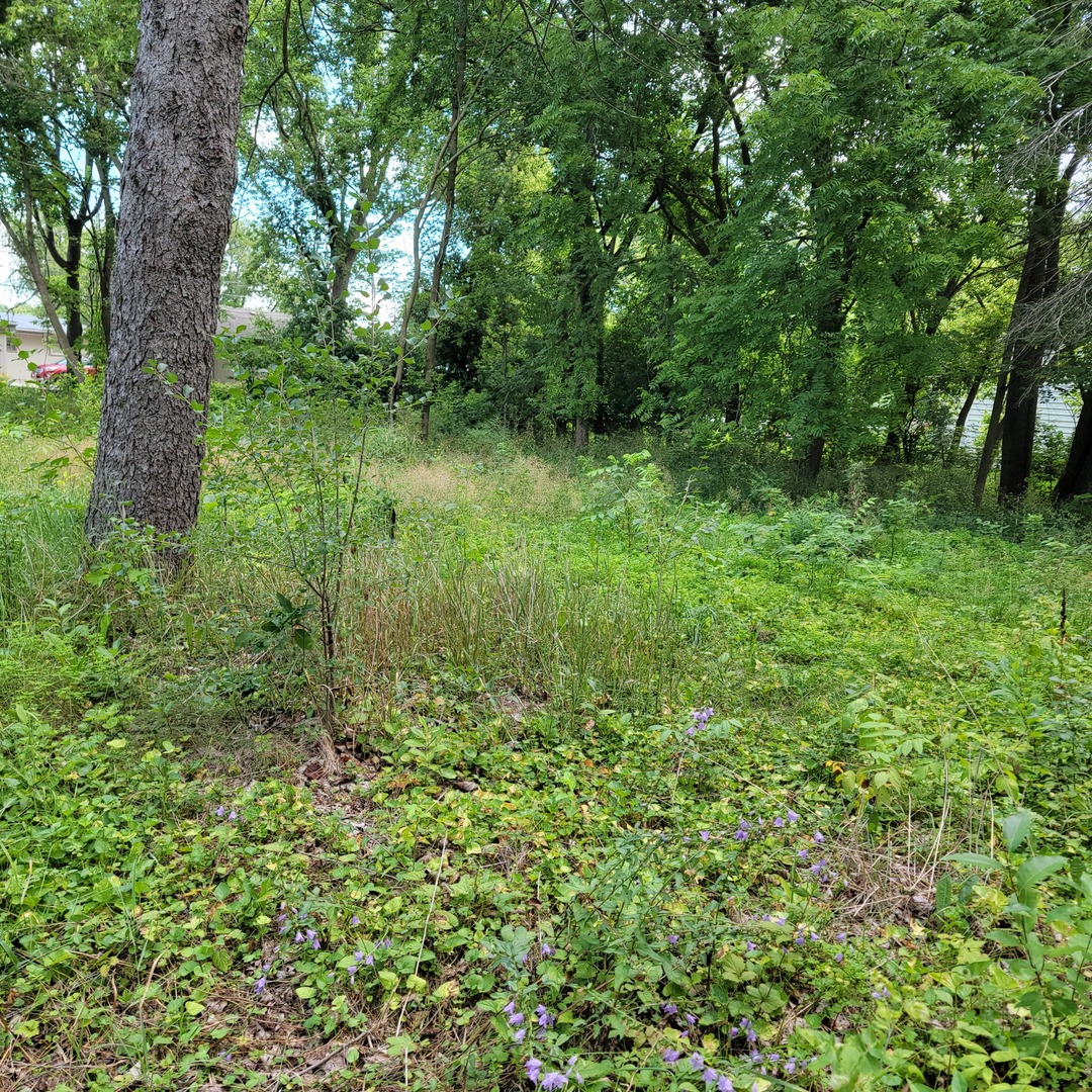 25578 West High Street W Wauconda IL 60084