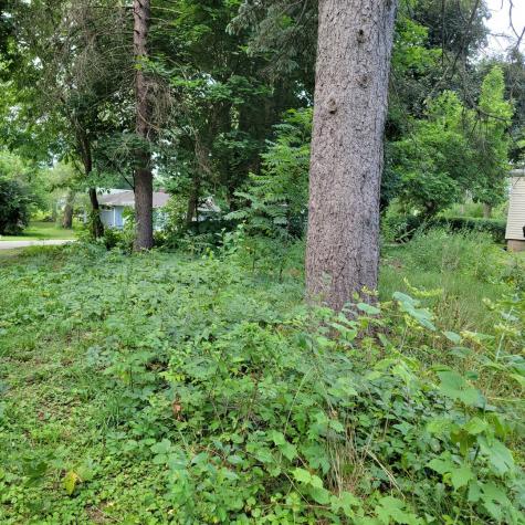 25578 West High Street W Wauconda IL 60084