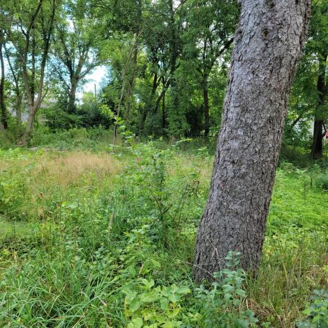 25578 West High Street W Wauconda IL 60084