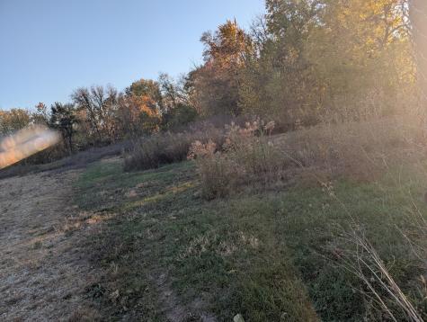 510 North Grove Street N Farmer City IL 61842