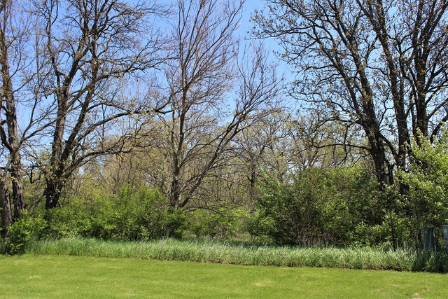 Lot 18 Masters Drive Morrison IL 61270