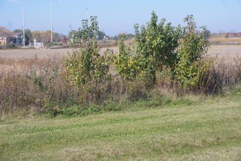 Sec29 Heritage Drive Elwood IL 60421