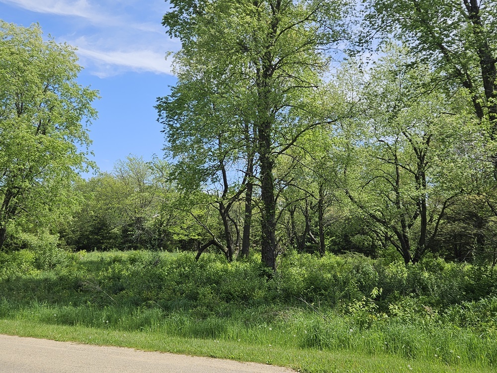 226 Platte Drive Dixon IL 61021
