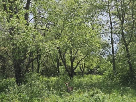 226 Platte Drive Dixon IL 61021