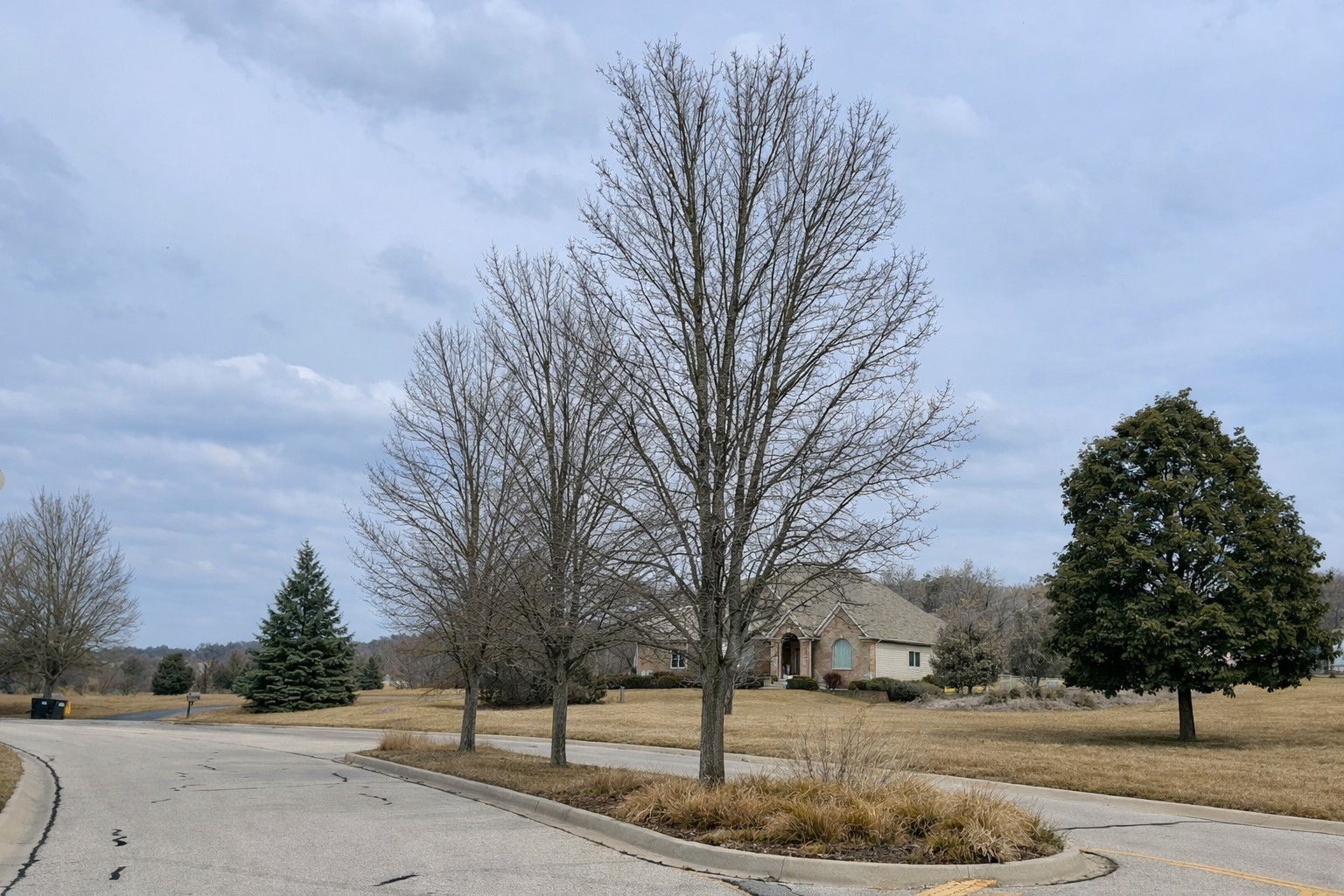 1852 Red Oak Lane Spring Grove IL 60081