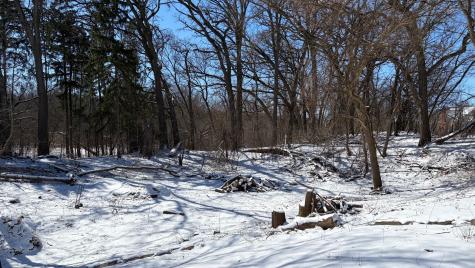 Lot 1 Asbury Avenue Fox River Grove IL 60021