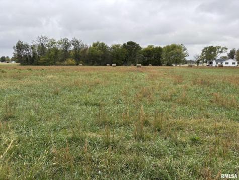 1200 Block Roddy Road Salem IL 62881