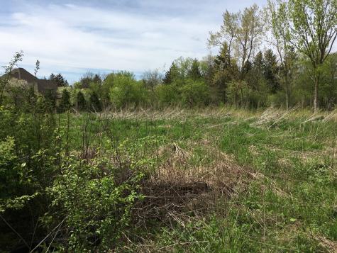 Lot 4 East Mundhank Road South Barrington IL 60010