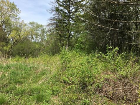 Lot 4 East Mundhank Road South Barrington IL 60010