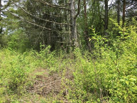 Lot 4 East Mundhank Road South Barrington IL 60010