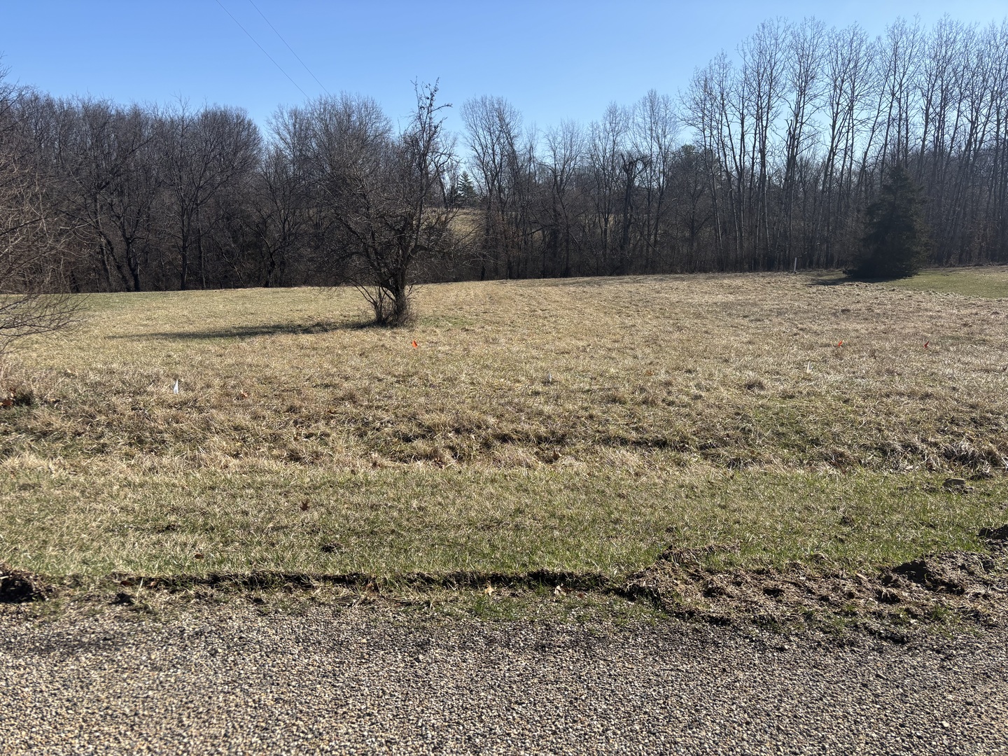 1050 Spring Mill Court Varna IL 61375