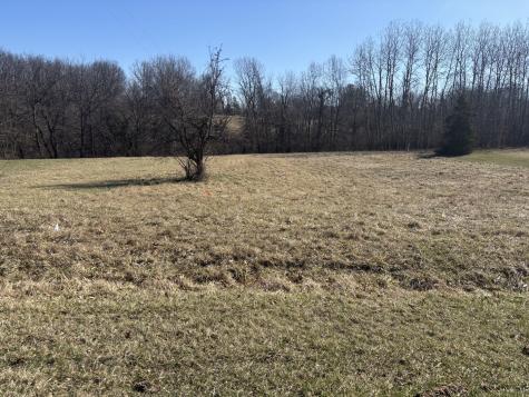 1050 Spring Mill Court Varna IL 61375
