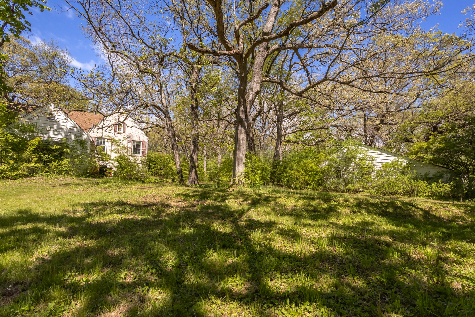 4317 Willowbrook Road Long Grove IL 60047