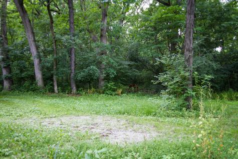 4317 Willowbrook Road Long Grove IL 60047