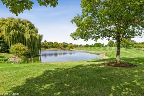 1969 Royal Birkdale Drive Vernon Hills IL 60061